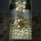 factory me 10 ke coin kishi bante hai money factory # money #mymoney #moneyspinner #simplemoney