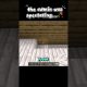 the admin was spectating!!