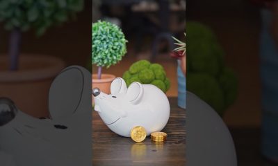 Did AI Find the $100 Million Bitcoin Bug #shorts #cybersecurity #crypto #bitcoin #ai #cryptocurrency