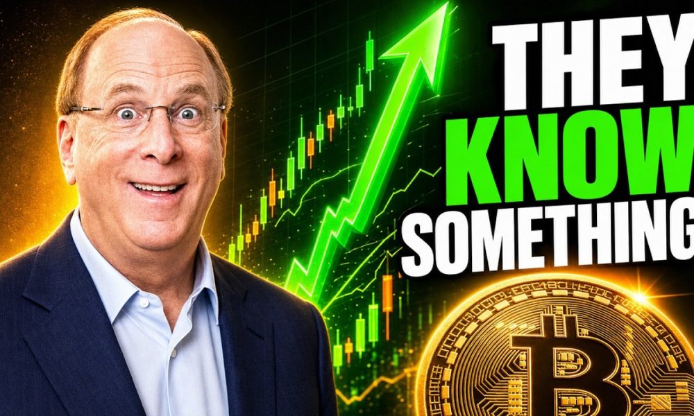 Altcoins Wall St. is BUYING! (Next Crypto Winners?)