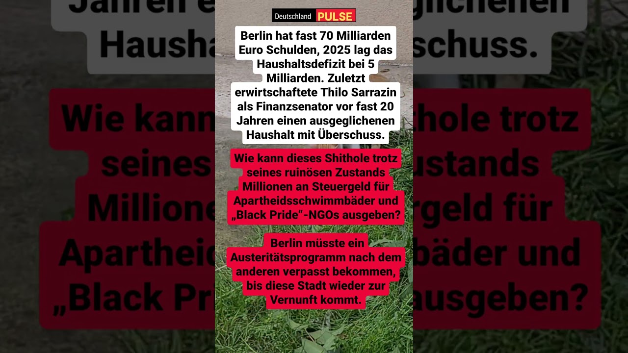 Berlins finanzieller Wahnsinn #deutschland #geldpolitik #klimapolitik