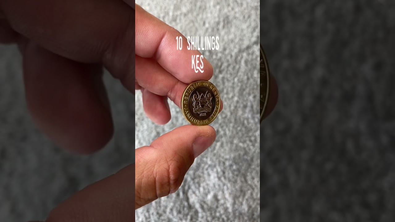 10 KES Kenyan Shillings Coin 2013 What Does Kenyan Money Look Like #money #coin #kenya #wealth