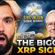 Ripple XRP CONFIRMED: Warren Buffett Just Left A $397 Billion Signal For XRP Holders!