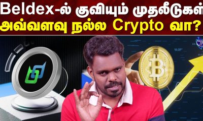 Investing in Beldex is good or bad? | #cryptocurrency #rjveeraa