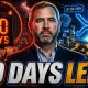 THE COUNTDOWN IS ON: 50 DAYS TO THE BIGGEST XRP UTILITY SHIFT EVER! - AI ADOPTION ON THE XRPL SURGE!