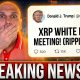 BREAKING NEWS!!!!!!! THIS IS HUUUUGE, RIPPLE SWELL! (XRP MEETING)