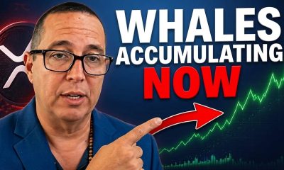 "Why They Don't Want You to See This XRP Signal: The Hidden Truth!"