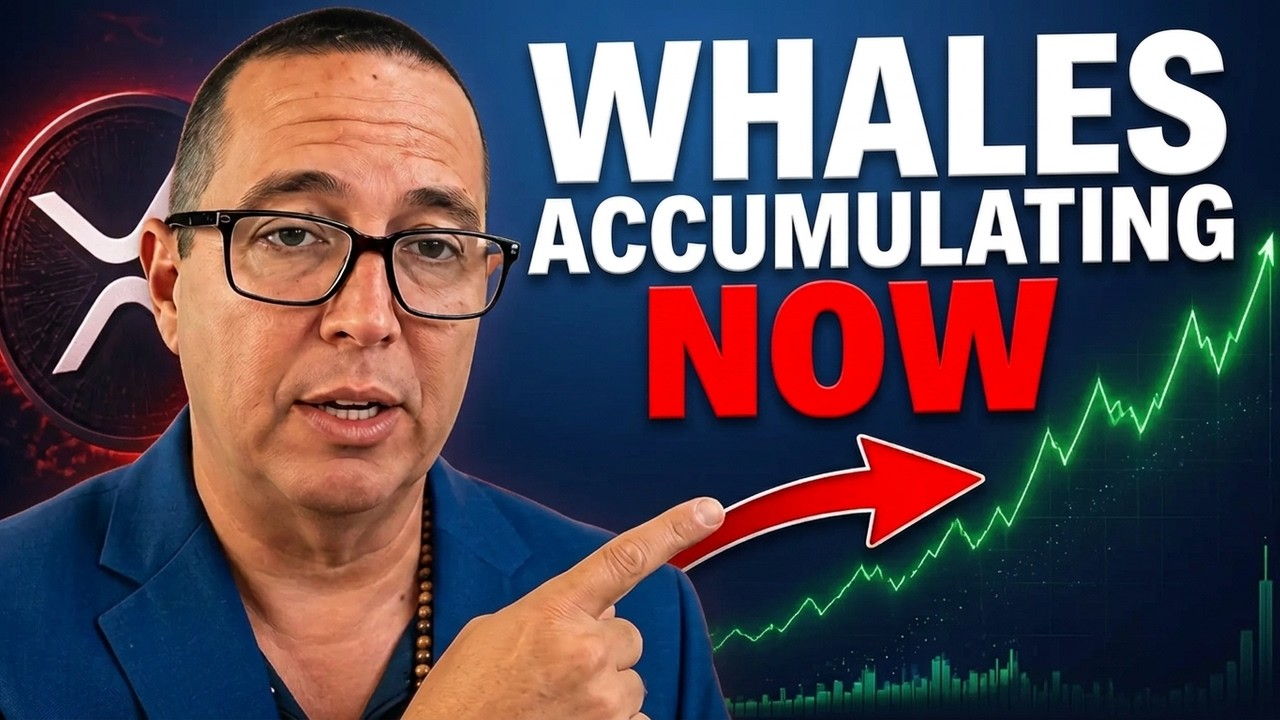 "Why They Don't Want You to See This XRP Signal: The Hidden Truth!"