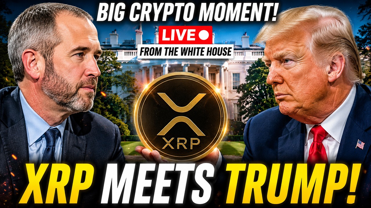 XRP MEETS DONALD TRUMP LIVE! Martyn Lucas Investor