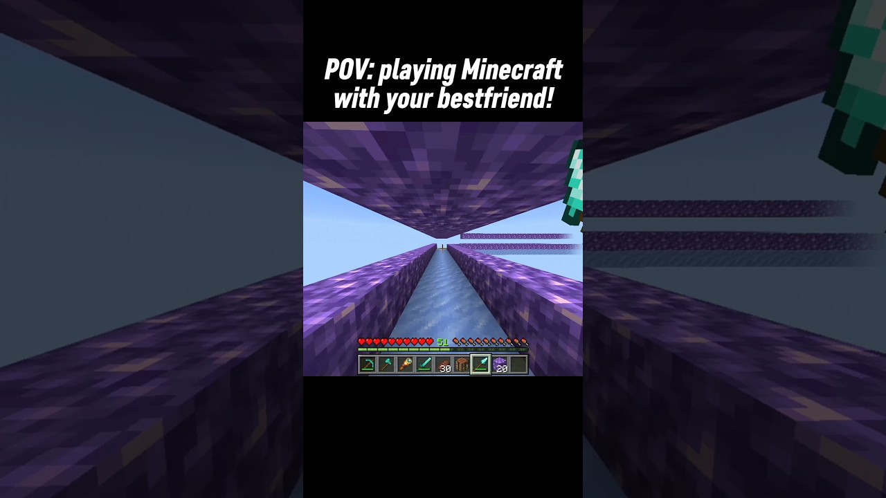 Pov: playing minecraft with your bestfriend!