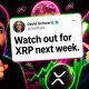 XRP Next Week HUGE.