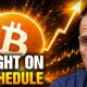 Bitcoin’s Rally Today Just Confirmed Everything