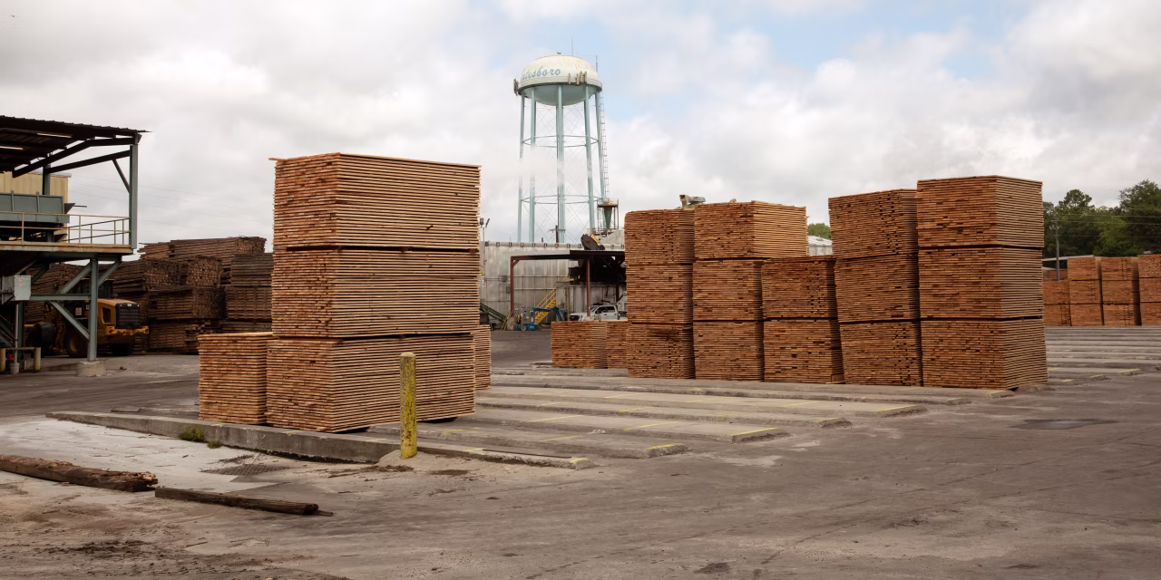 Pulpwood Market Collapse Hits South’s Forest Economy