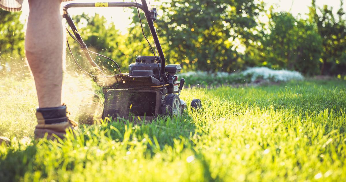 5 things you need to do in your garden in September