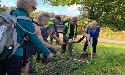 Beating the Bounds