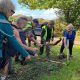 Beating the Bounds