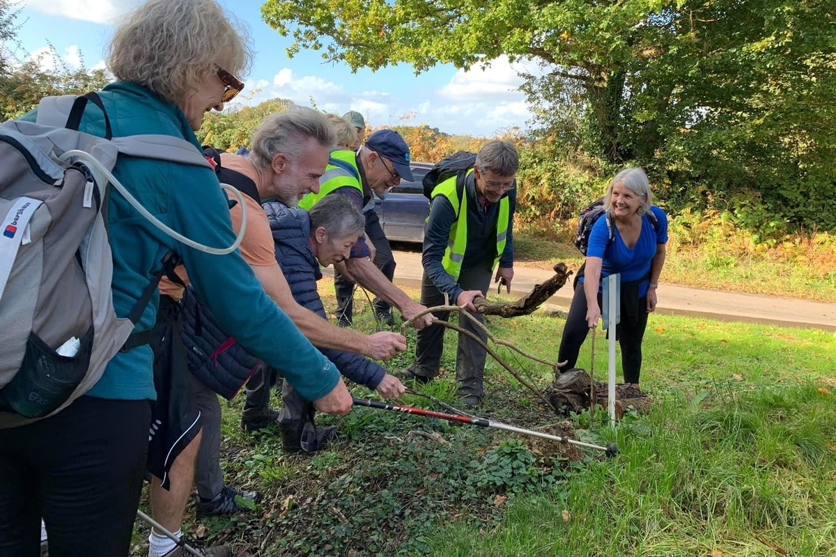 Beating the Bounds