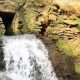 Three top UK family dog walks are close to Bolton