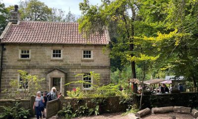 Beautiful North York Moors tea garden next to waterfall