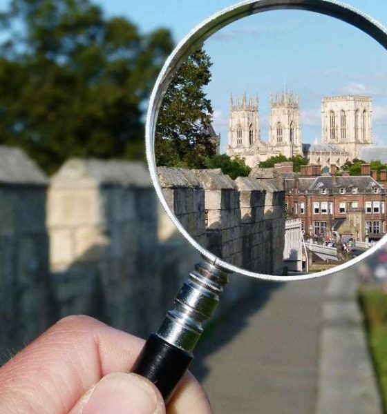 Letter: Criticism of York's overgrown grass and weeds