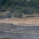 Fire crews tackle major field fire in farm in Craghead