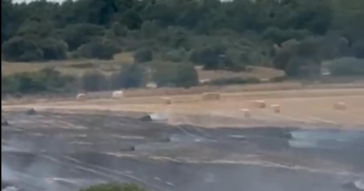 Fire crews tackle major field fire in farm in Craghead