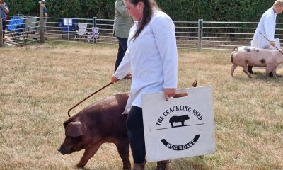 Tockwith Show went down on a fine North Yorkshire Sunday
