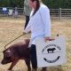 Tockwith Show went down on a fine North Yorkshire Sunday