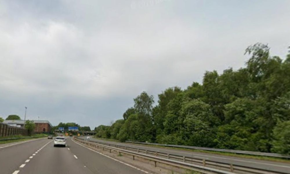 Suspected human remains found near M67 in Tameside, police say