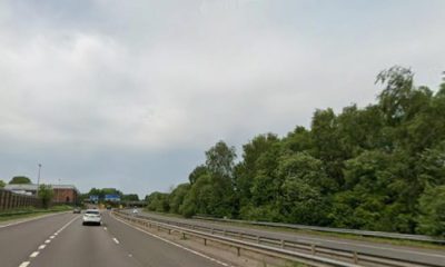 Suspected human remains found near M67 in Tameside, police say