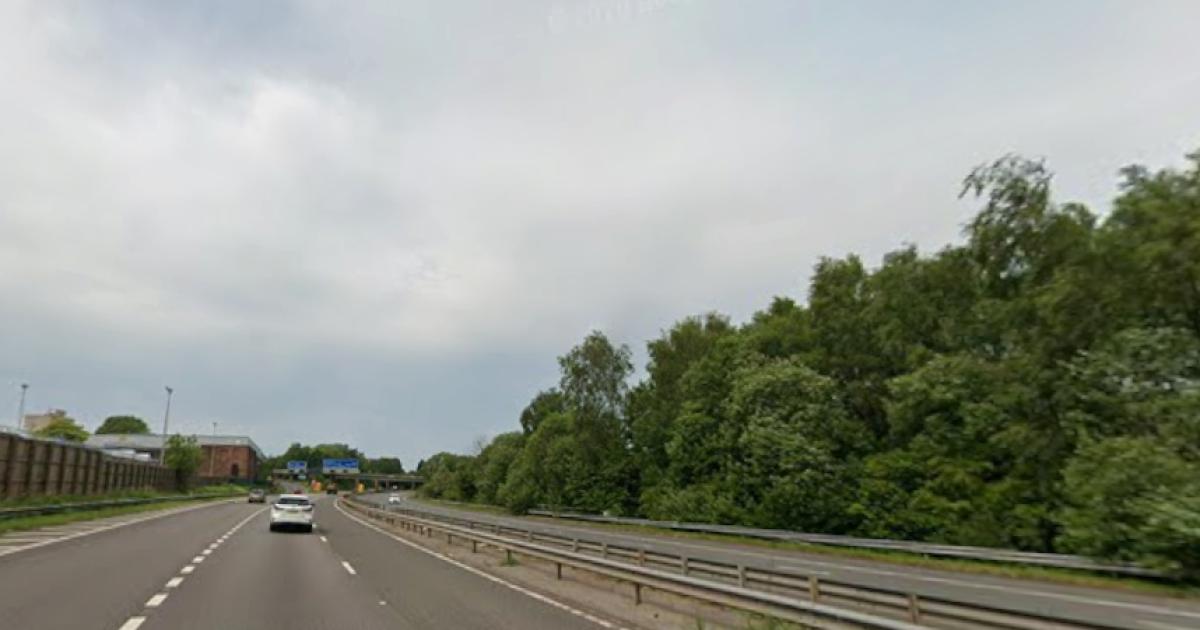 Suspected human remains found near M67 in Tameside, police say