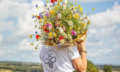 Yorkshire flower field where you can build your own bouquet