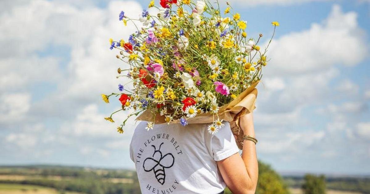 Yorkshire flower field where you can build your own bouquet
