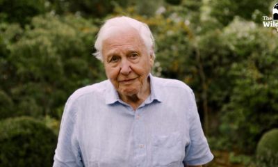 David Attenborough backs last ditch-bid for Northumberland estate