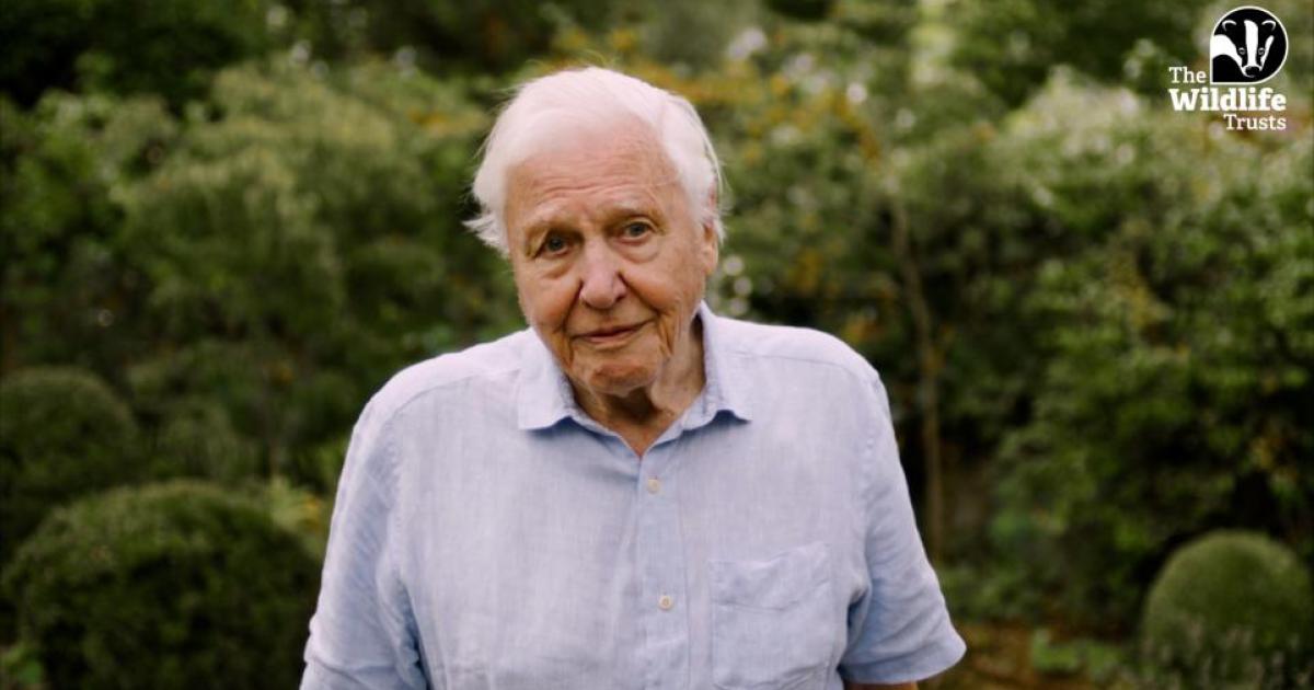 David Attenborough backs last ditch-bid for Northumberland estate