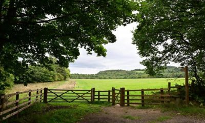 New woodland plans at South Park in Prudhoe, Northumberland