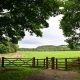 New woodland plans at South Park in Prudhoe, Northumberland