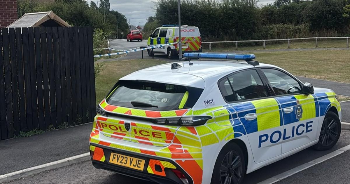Man arrested on suspicion of attempted murder after stabbing in Pelton