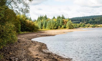 Forest near Yorkshire the perfect place for family day trip