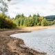 Forest near Yorkshire the perfect place for family day trip