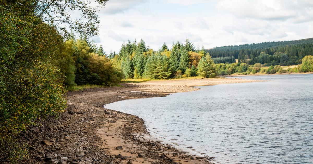 Forest near Yorkshire the perfect place for family day trip