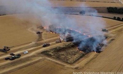 Large field fire near Malton - crews called to scene