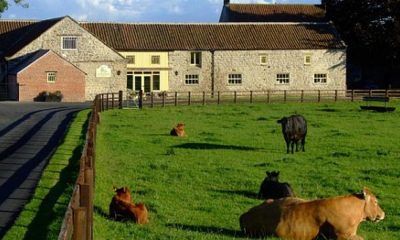 Beadlam Grange Farmshop near Helmsley praised by visitors