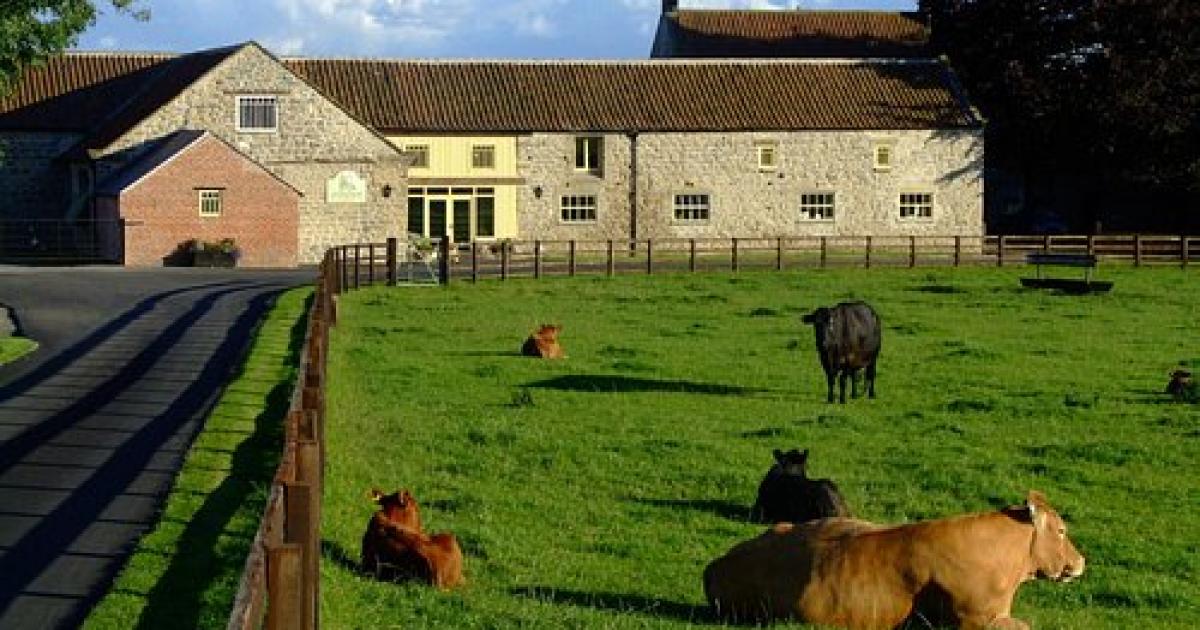 Beadlam Grange Farmshop near Helmsley praised by visitors