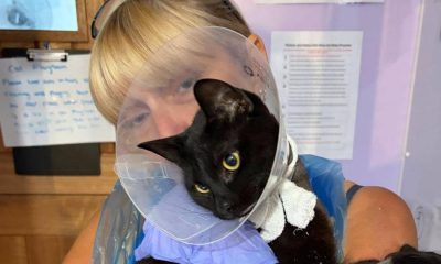 Bolton Destitute Animal Shelter up for prestigious Pet Industry Award