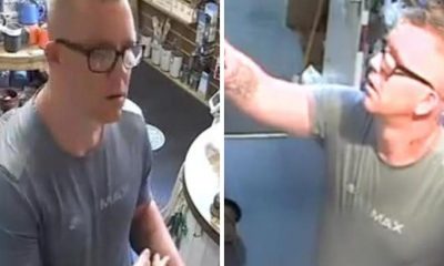 York - thief targets hardware store for gardening equipment