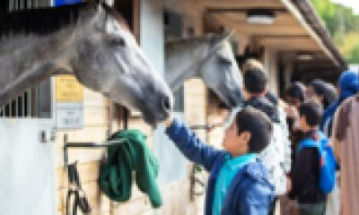 Behind-the-scenes look at horse racing in the North East