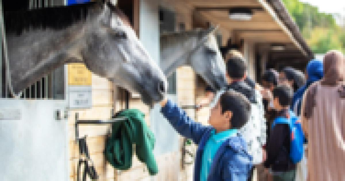 Behind-the-scenes look at horse racing in the North East