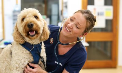 Bolton vet launches new pet plan with unlimited consultations
