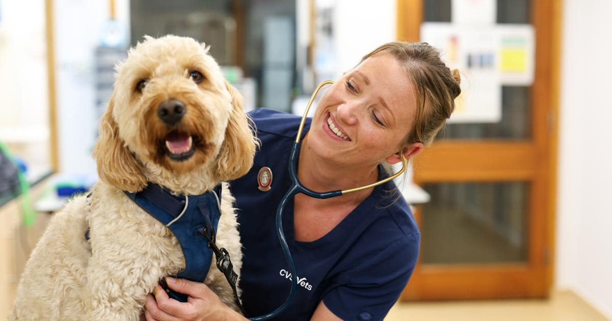 Bolton vet launches new pet plan with unlimited consultations